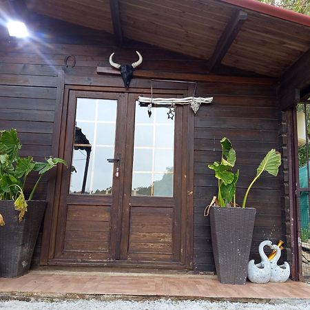 Villa Centro Ecuestre Girasol à Chiclana de la Frontera Extérieur photo